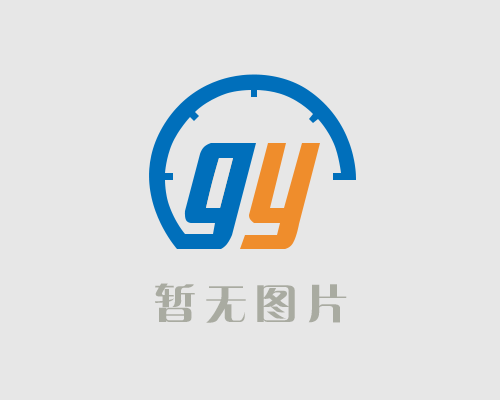 WZPF-230F 固定螺纹式防腐热电阻
