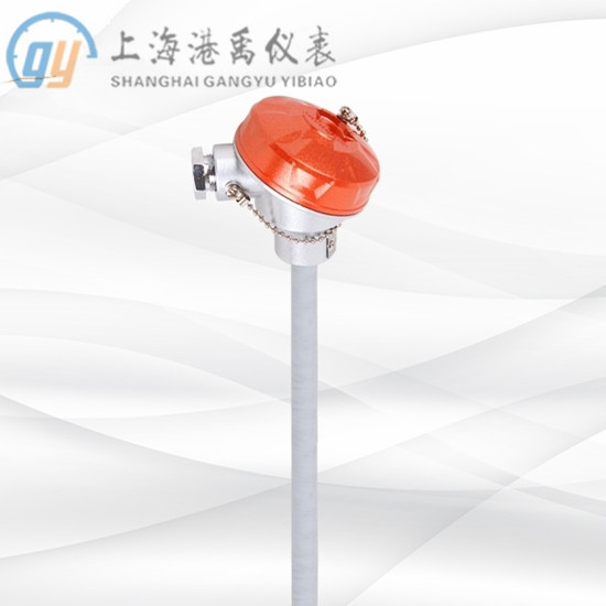 WZPF-130F无固定装置式防腐热电阻